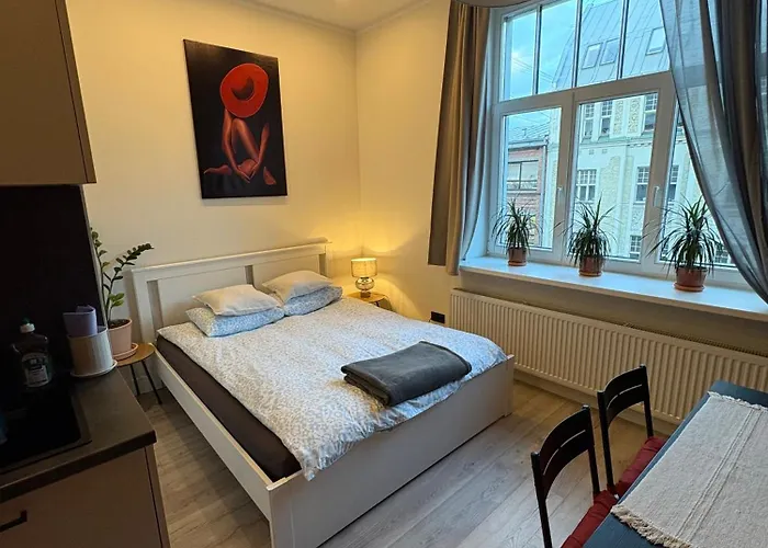 Апартаменты Matisa *